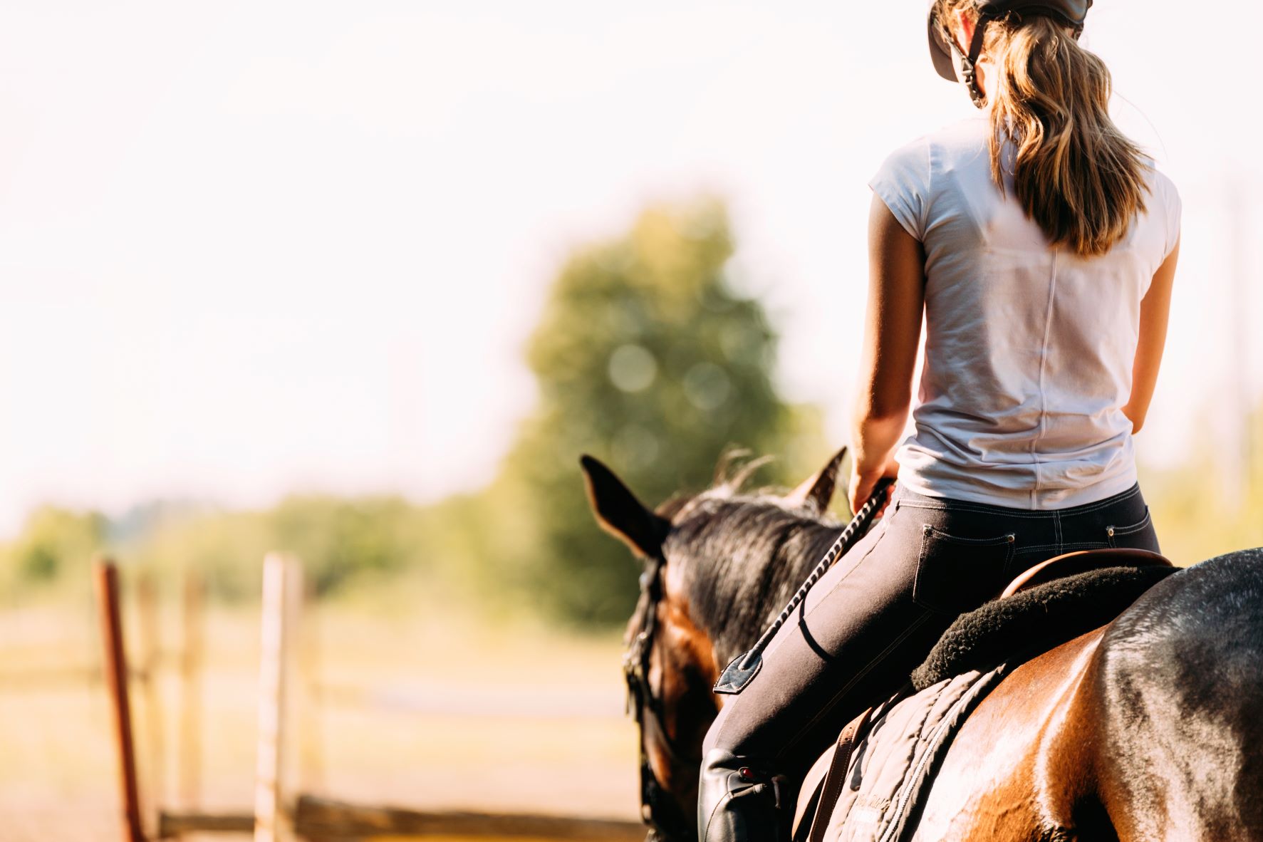 Equitation M Tiers Du Cheval Jeune Cavali Re V Mfr De Questembert